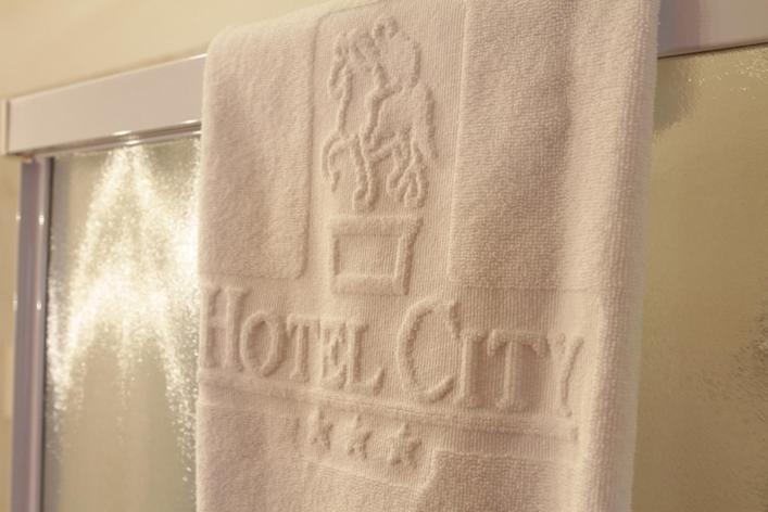 Hotel City Piacenza Værelse billede